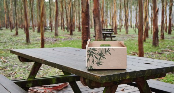 wooden picnic table with a cardboard box for food in an outdoor area with trees